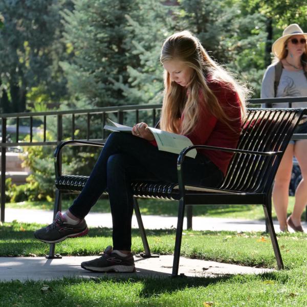 A person reads outside on a bench