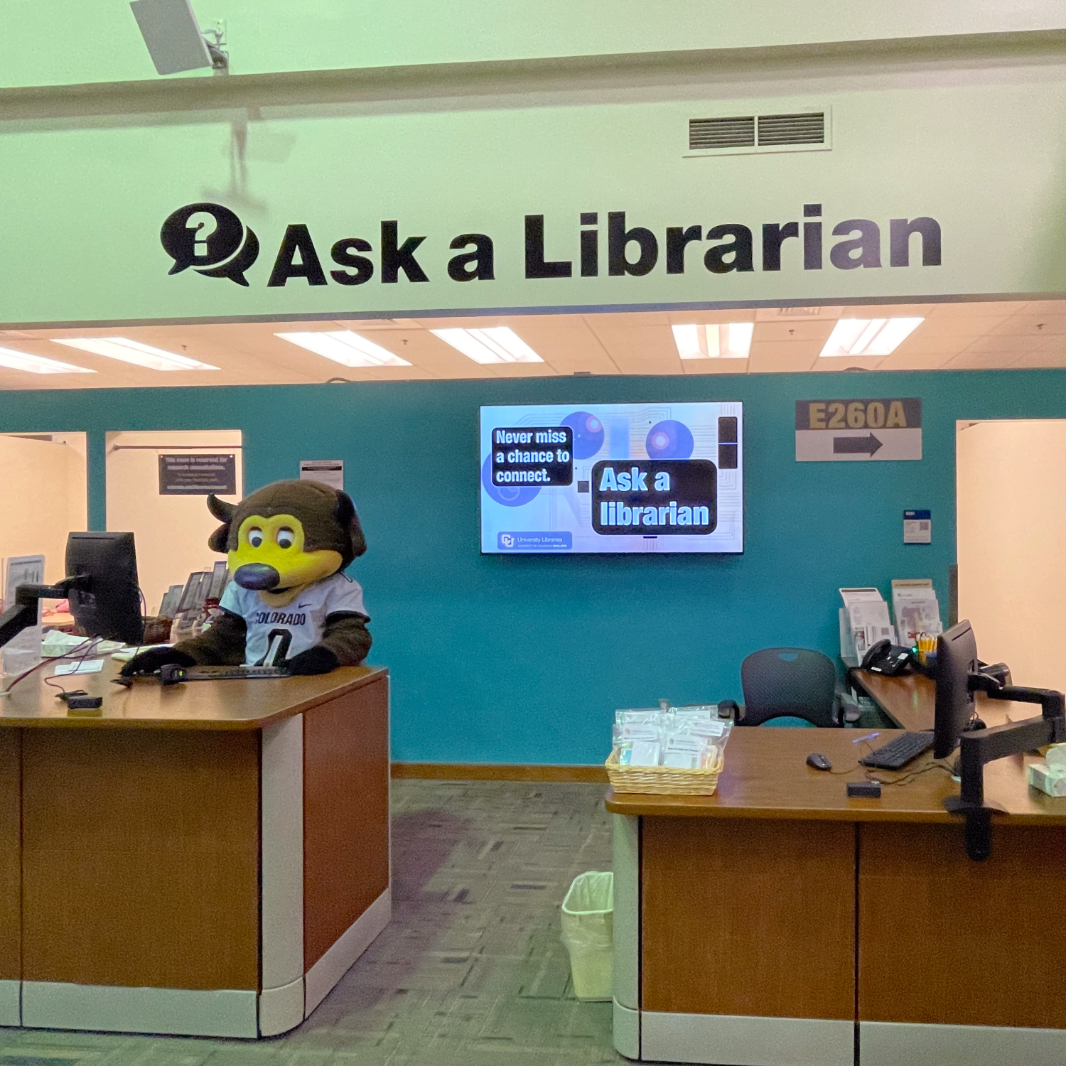 Chip at the Ask A Librarian desk