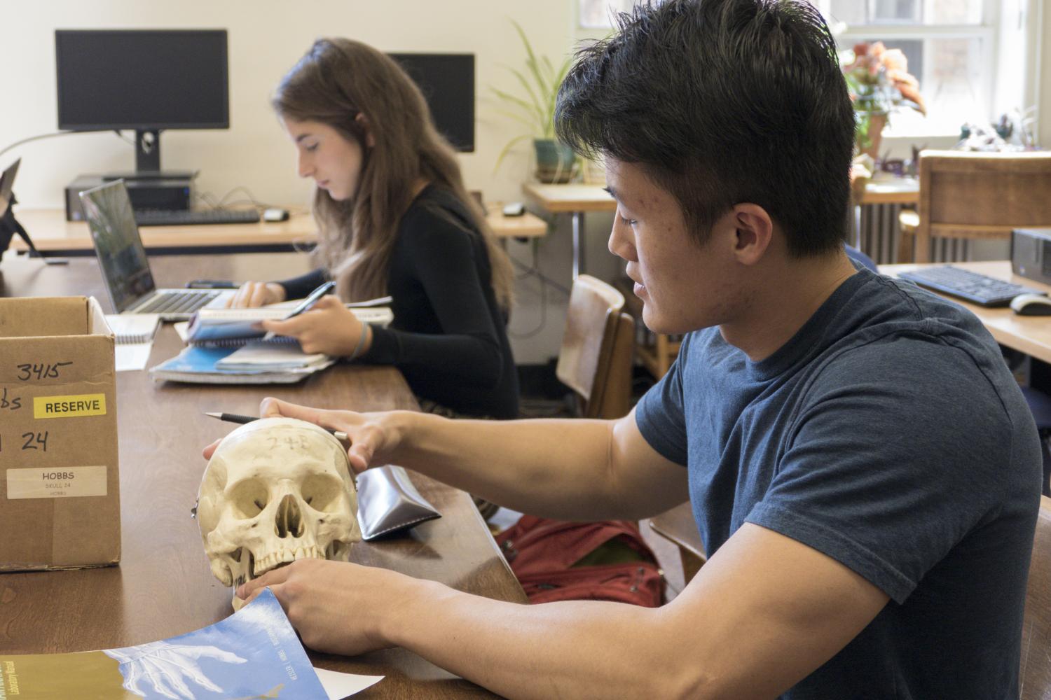 Student uses skull from the boneyard collection