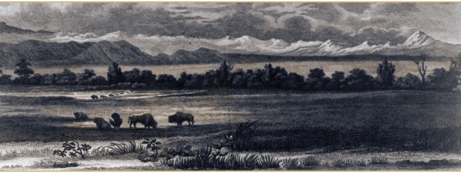 buffalo on an old landscape drawing of Colorado