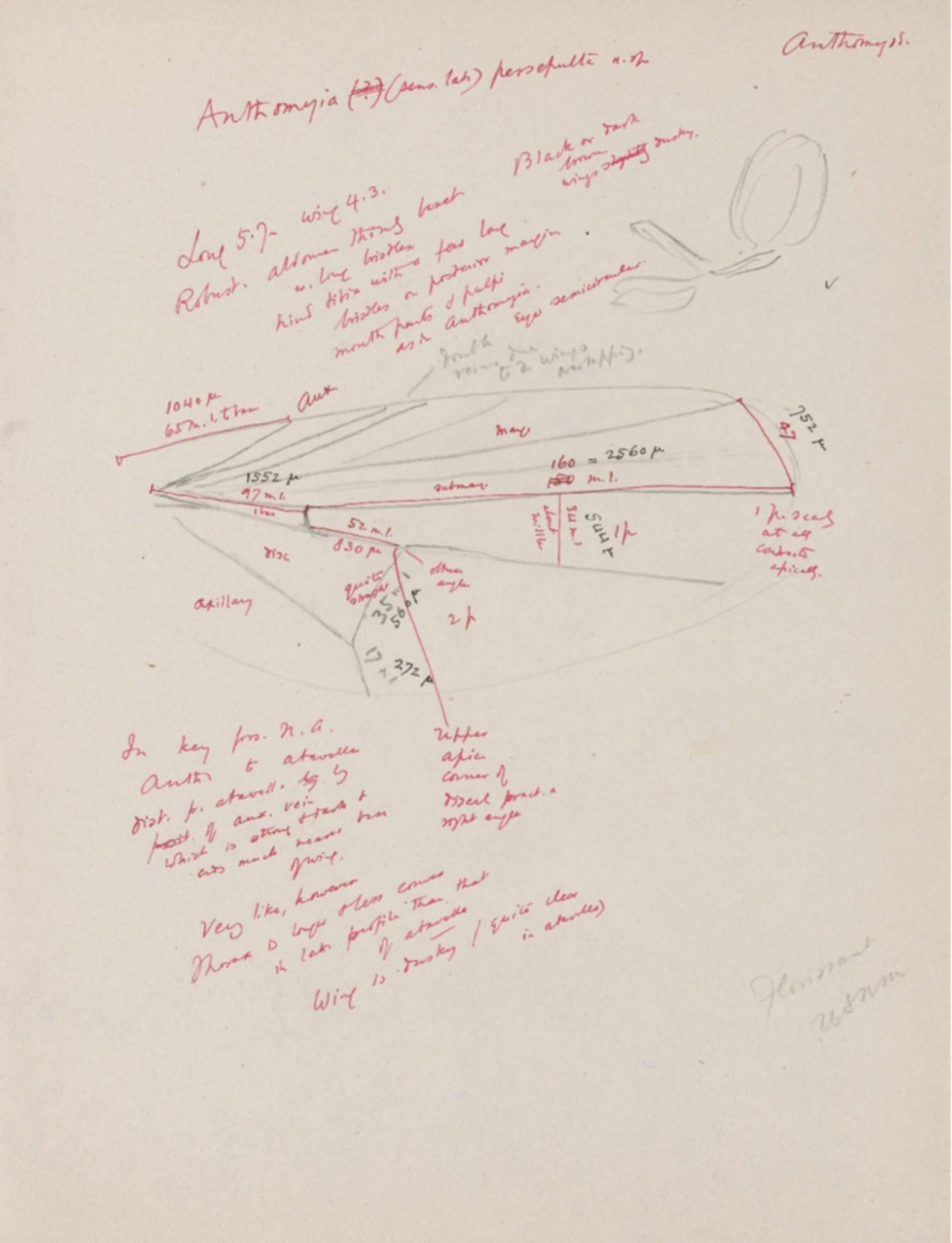 Notes from Prof. Cockerell's research