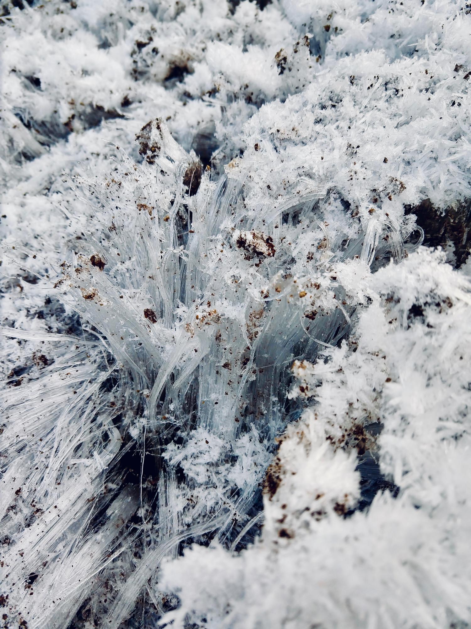 "Needle Ice" by Mickey Rush