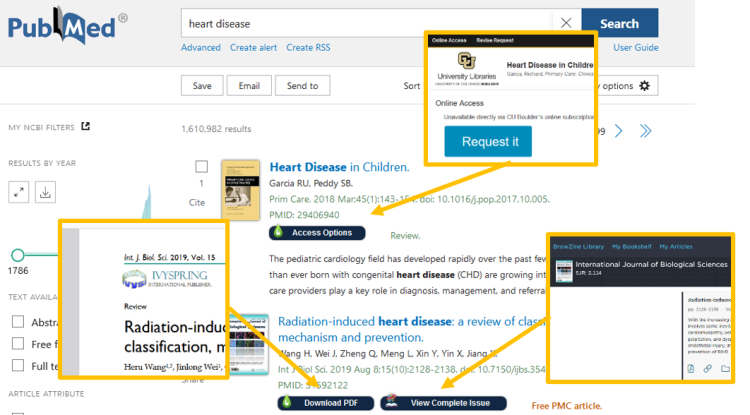 A screenshot of LibKey Nomad access options as they appear on PubMed.