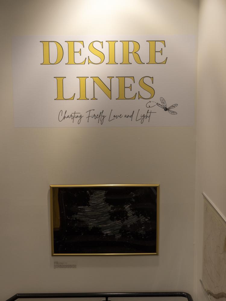 Desire Lines: Charting Firefly Love and Light exhibition sign